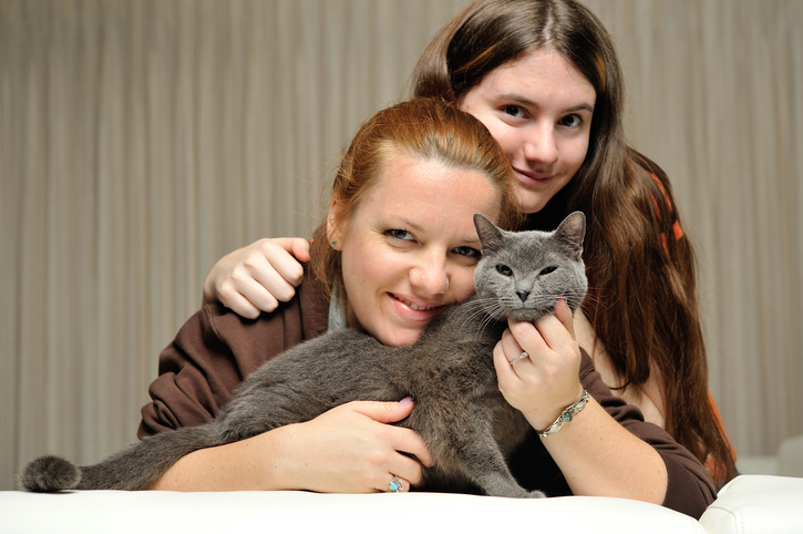 Avoiding Cat-astrophe: Considerations for Divorcing Pet Owners and 3 Tips for a Pawsitive Outcome.