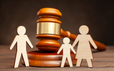 Guardians ad Litem: Family Law Cases